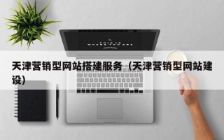海南天津营销型网站搭建服务（天津营销型网站建设）