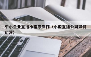 海南中小企业直播小程序制作（小型直播公司如何运营）