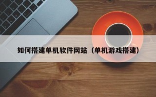 海南如何搭建单机软件网站（单机游戏搭建）
