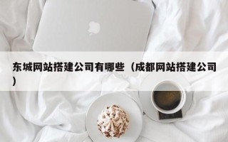 海南东城网站搭建公司有哪些（成都网站搭建公司）
